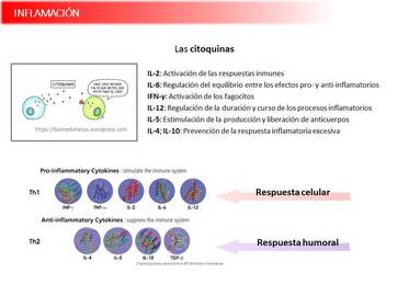 Presentación Wobenzym