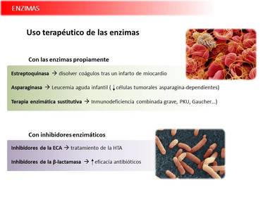Presentación Wobenzym
