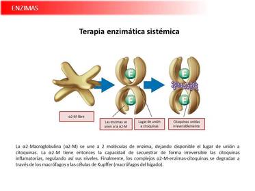 Presentación Wobenzym