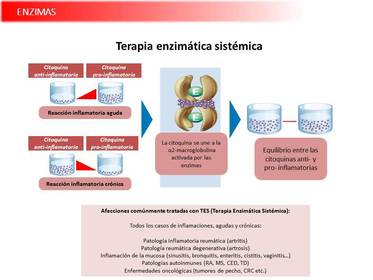 Presentación Wobenzym