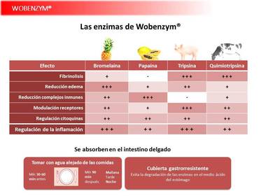 Presentación Wobenzym