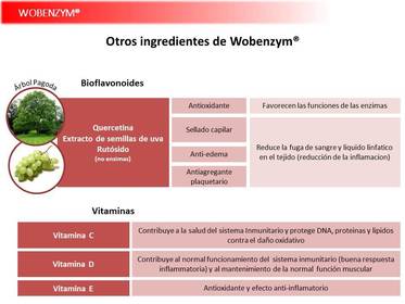 Presentación Wobenzym