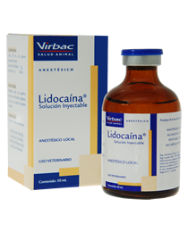protocolo de lidocaina