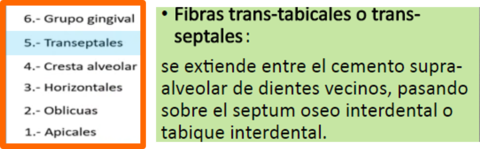 Presentación " EPIDEMIOLOGÍA DE LA ENFERMEDAD PERIODONTAL. "