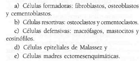 Elementos celulares de el ligamento.