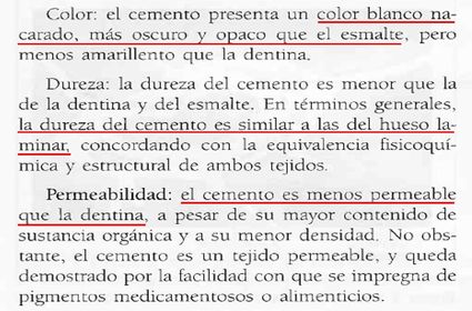 Propiedades físicas del Cemento Radicular