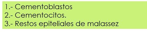 Células que comprenden el cemento: