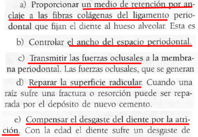Características Estructurales del Cemento.