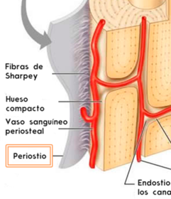 Presentación " EPIDEMIOLOGÍA DE LA ENFERMEDAD PERIODONTAL. "