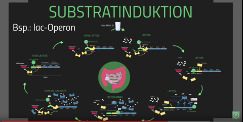 Substratinduktion