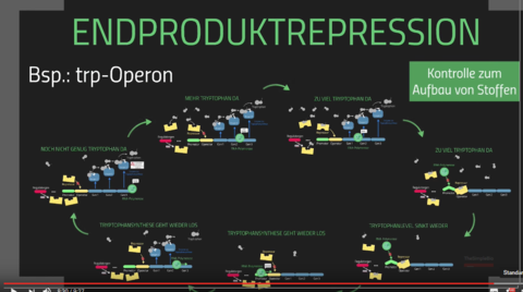 Enproduktrepression