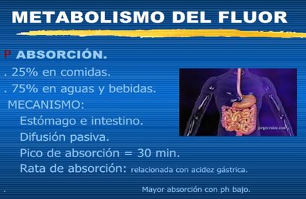 Presentación: Fluoruros y salud bucal