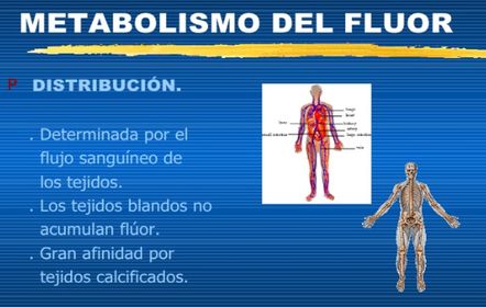 Presentación: Fluoruros y salud bucal