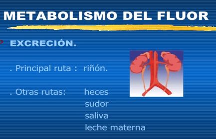 Presentación: Fluoruros y salud bucal