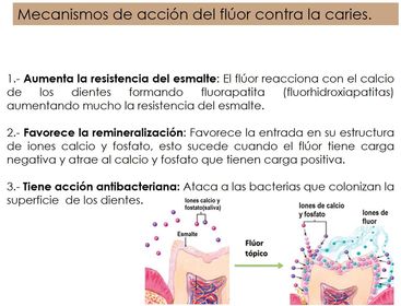 Presentación: Fluoruros y salud bucal