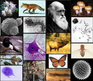 ¿Para que nos sirve la biología?