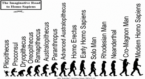 Evolución del hombre