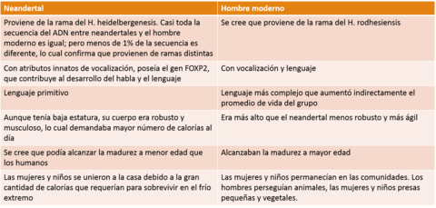 La desaparición de los neandertales
