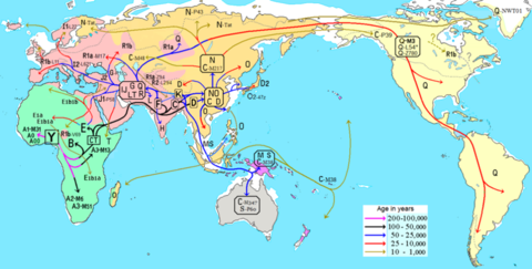Rutas de migración