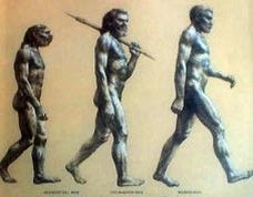 Evolución del hombre