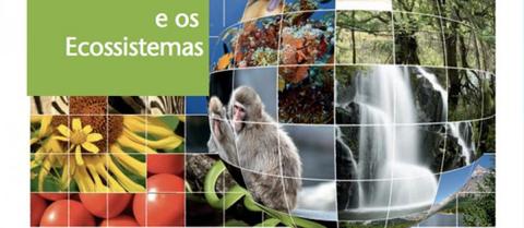 O que são serviços dos ecossistemas?