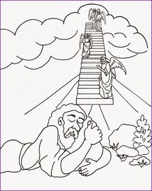 Mº DEL ÁGUILA CORDERO OLIVERO
