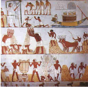ADMINISTRACIÓN EN EGIPTO