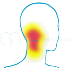Daat Conocimiento P/post. del cerebro
