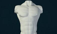 Tiferet Belleza Torso