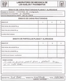 CARAS PLANA Y ALARGADAS