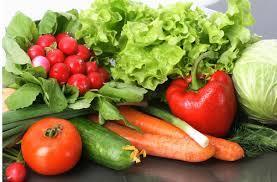 We eat parts of plants
