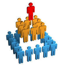 Tipos de organizaciones