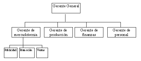 Tipos de organizaciones