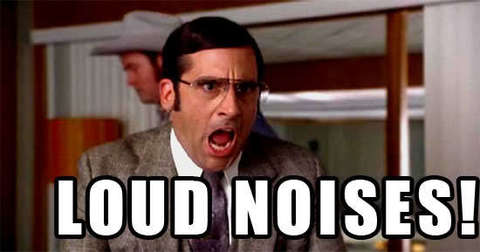 Loud Noises STARTLE And Get Attention