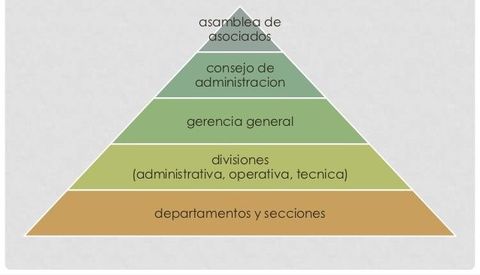 NIVELES DE JERARQUIA