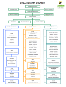 ORGANIGRAMA