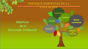 por que es importante la educación ambiental