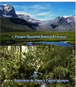 Colombia: Región Andes Nororientales