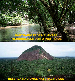 COLOMBIA: REGIÓN AMAZÓNICA