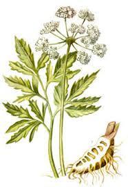 Image for question 1