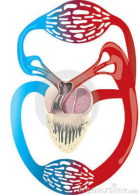 Image for question 9