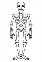 Image for question 8
