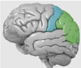 Image for question 4