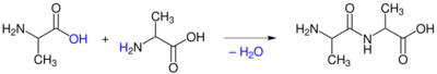 Image for question 9