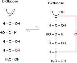 Image for question 23