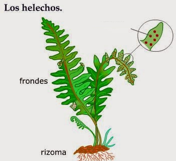 Image for question 6