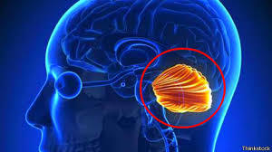 Image for question 4