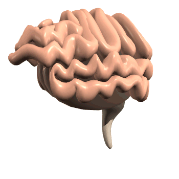 Image for question 1