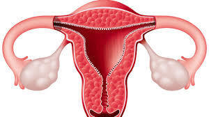Image for question 3