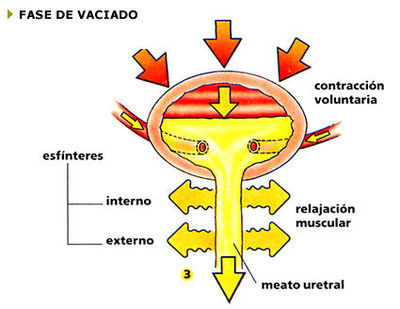 Image for question 7